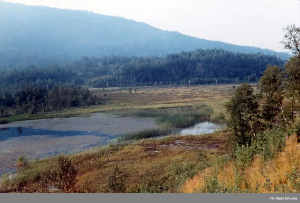 Hellandmyra, Sørfold. August 1969. Fra fotoalbumet "Verneverdige myrer og våtmarker" tilhørende Norsk myrmuseum, Smøla kommune.