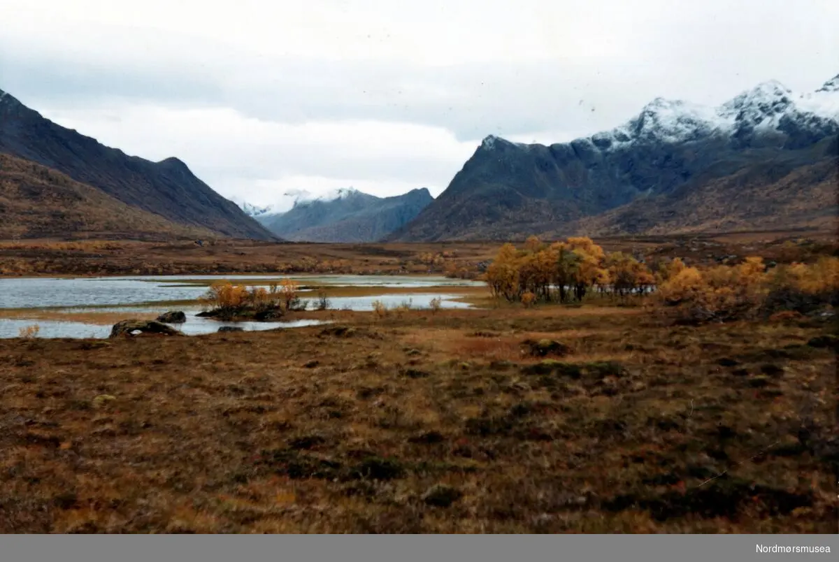 Buksnesdalen, Hinnøya. Andøy herred. September 1969. Fra fotoalbumet "Verneverdige myrer og våtmarker" tilhørende Norsk myrmuseum, Smøla kommune.