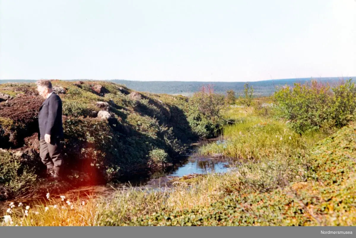 Varangerbotn, Nesseby herred. Juli 1969. Fra fotoalbumet "Verneverdige myrer og våtmarker" tilhørende Norsk myrmuseum, Smøla kommune.