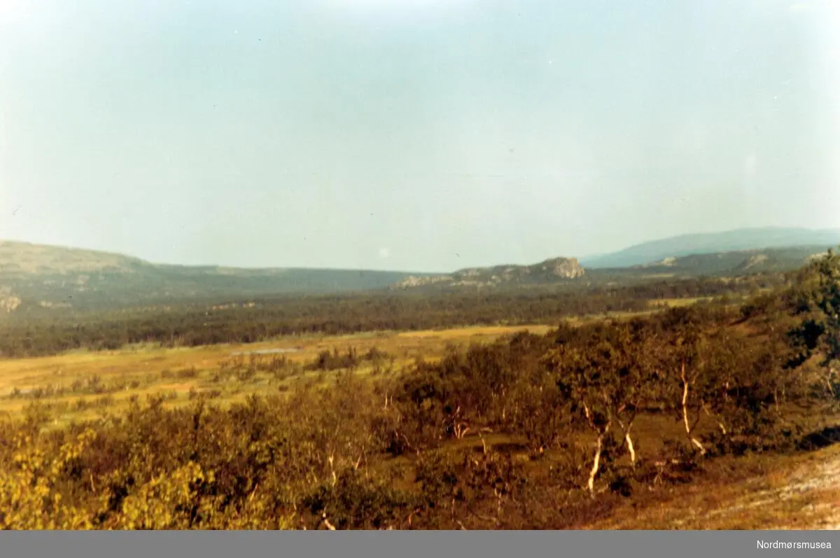 Vieksadalen(?) Porsangs herred, Finnmark. Juli 1970. Fra fotoalbumet "Verneverdige myrer og våtmarker" tilhørende Norsk myrmuseum, Smøla kommune.