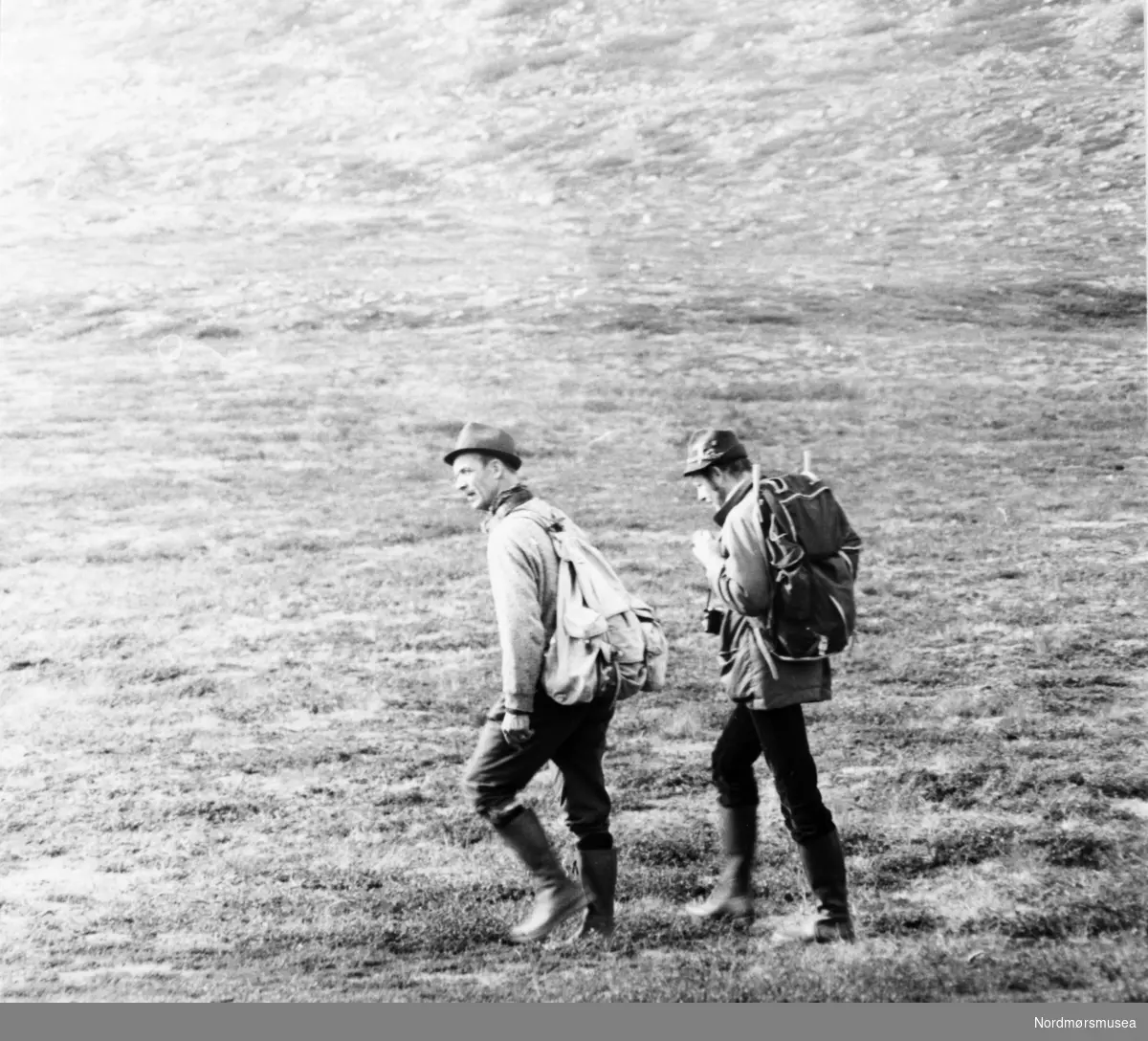 Semska-Stødi, Saltfjellet. Nordland. 1973. Fra fotoalbumet "Verneverdige myrer og våtmarker" tilhørende Norsk myrmuseum, Smøla kommune.