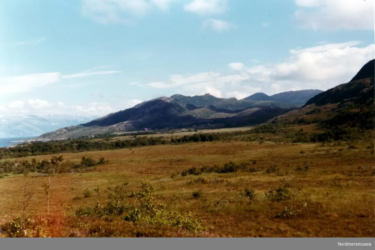 Eidemarka. Brønnøy. Juli 1971. Fra fotoalbumet "Verneverdige myrer og våtmarker" tilhørende Norsk myrmuseum, Smøla kommune.