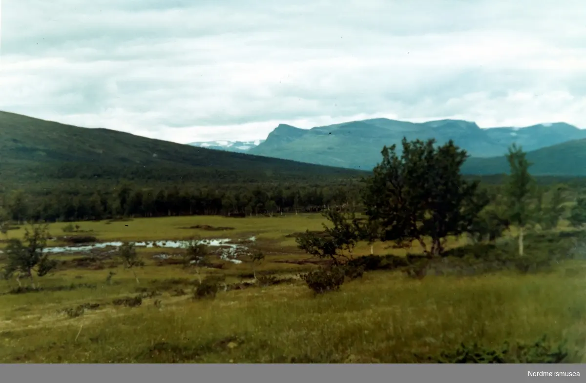 Dividalen i Troms. August 1970. Fra fotoalbumet "Verneverdige myrer og våtmarker" tilhørende Norsk myrmuseum, Smøla kommune.