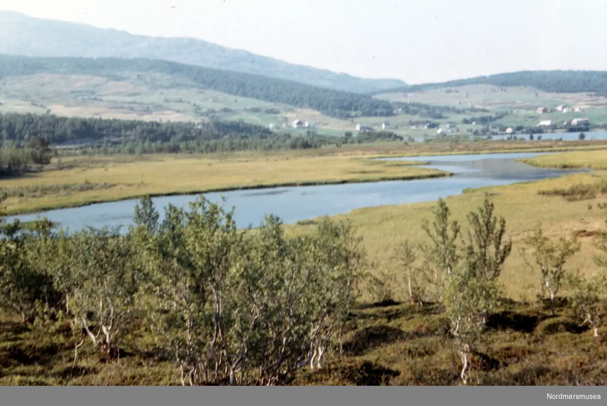 Sagelvvatnet, Balsfjord. August 1969. Fra fotoalbumet "Verneverdige myrer og våtmarker" tilhørende Norsk myrmuseum, Smøla kommune.