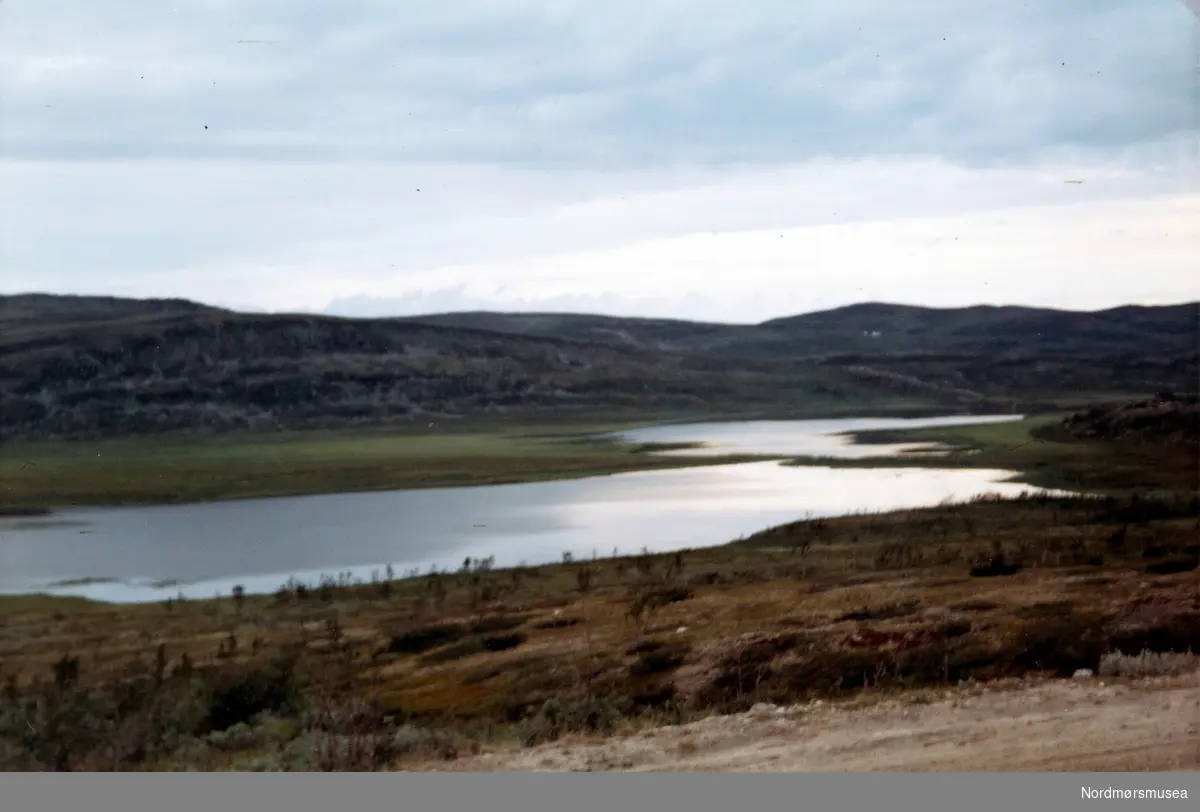 Sennaland, Alta. Juli 1969. Fra fotoalbumet "Verneverdige myrer og våtmarker" tilhørende Norsk myrmuseum, Smøla kommune.