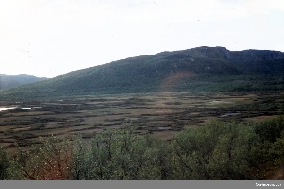 Sopnesmyra og Bugøyfjord i Sør-Varanger. Fra fotoalbumet "Verneverdige myrer og våtmarker" tilhørende Norsk myrmuseum, Smøla kommune.