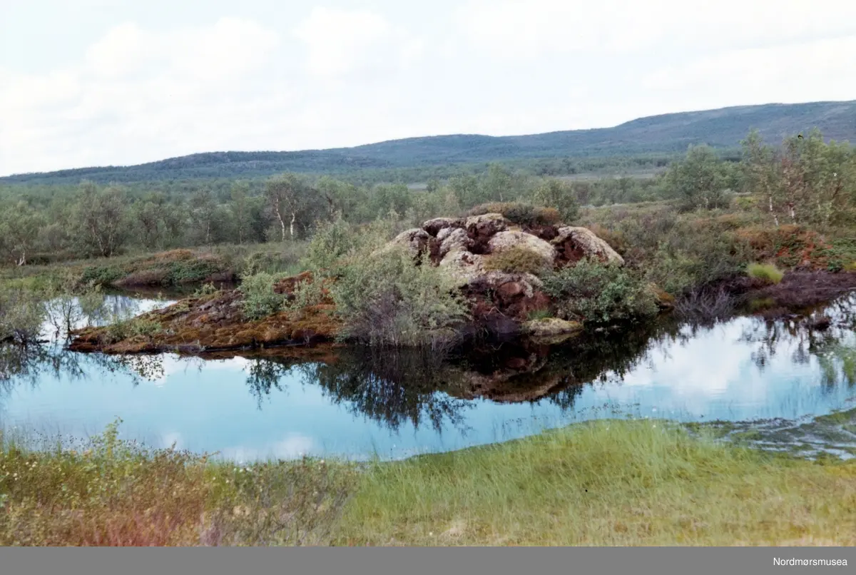 Ferdesmyra. Neiden-Bugsøyfjord i Sør-Varanger. Juli 1969. Fra fotoalbumet "Verneverdige myrer og våtmarker" tilhørende Norsk myrmuseum, Smøla kommune.