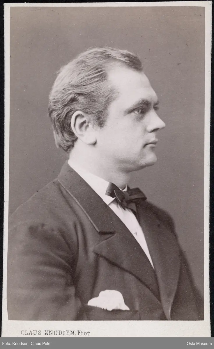 portrett, mann, brystbilde, profil