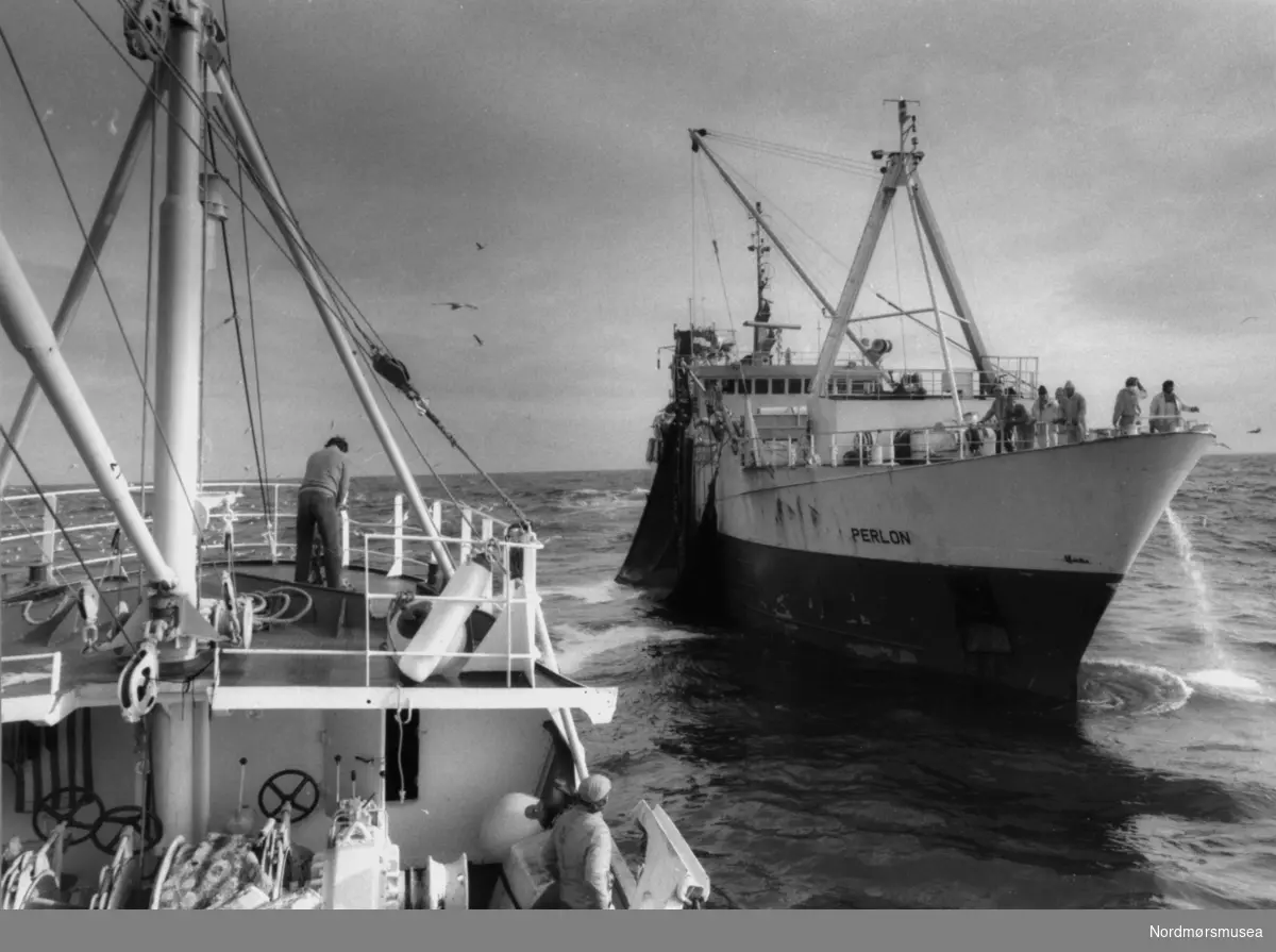 Loddefiske. Perlon. Bildet er fra avisa Tidens Krav sitt arkiv i tidsrommet 1970-1994. Nå i Nordmørsmusea sin fotosamling.