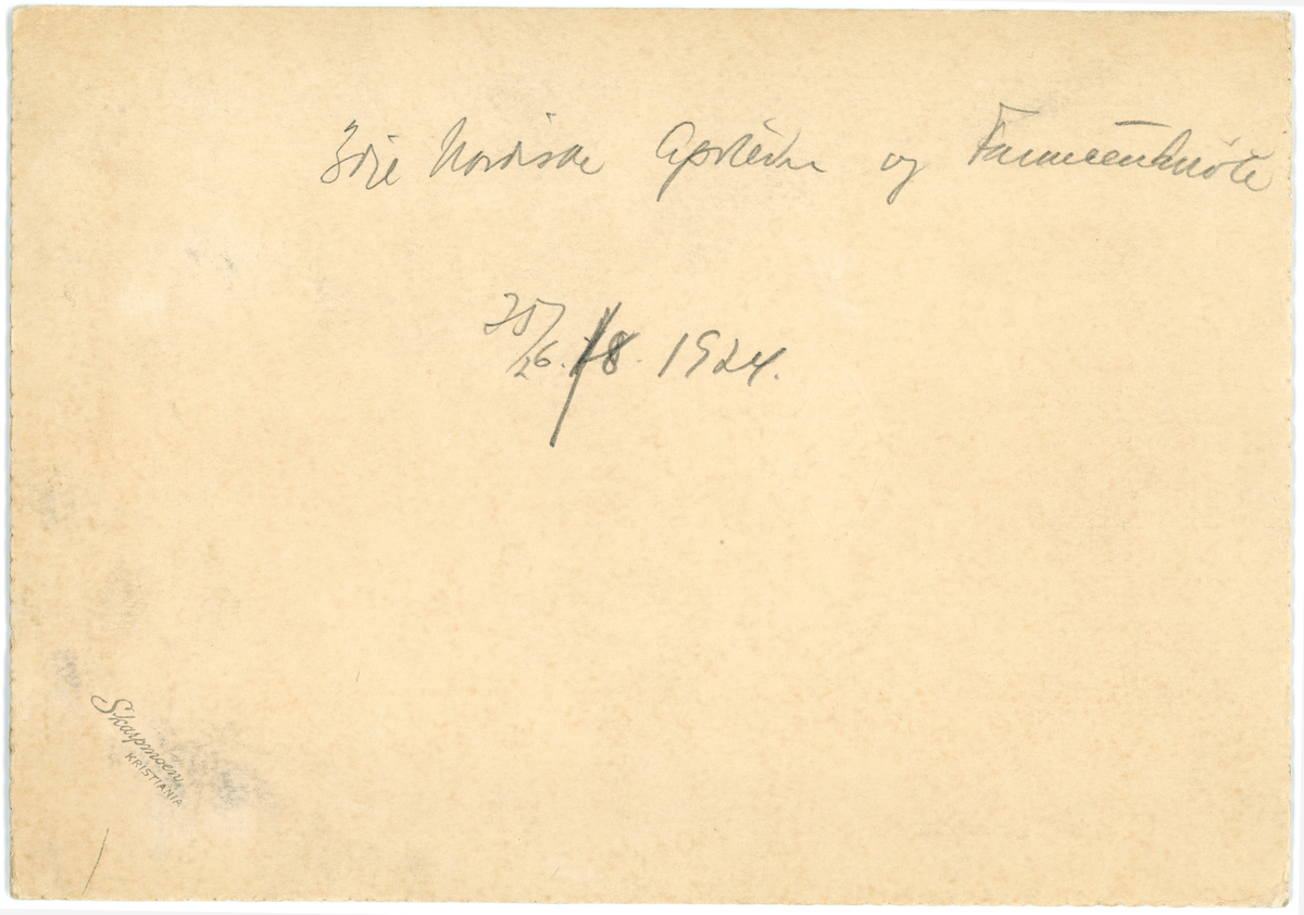 Nordisk apotek-og farmasøytmøte 1924.