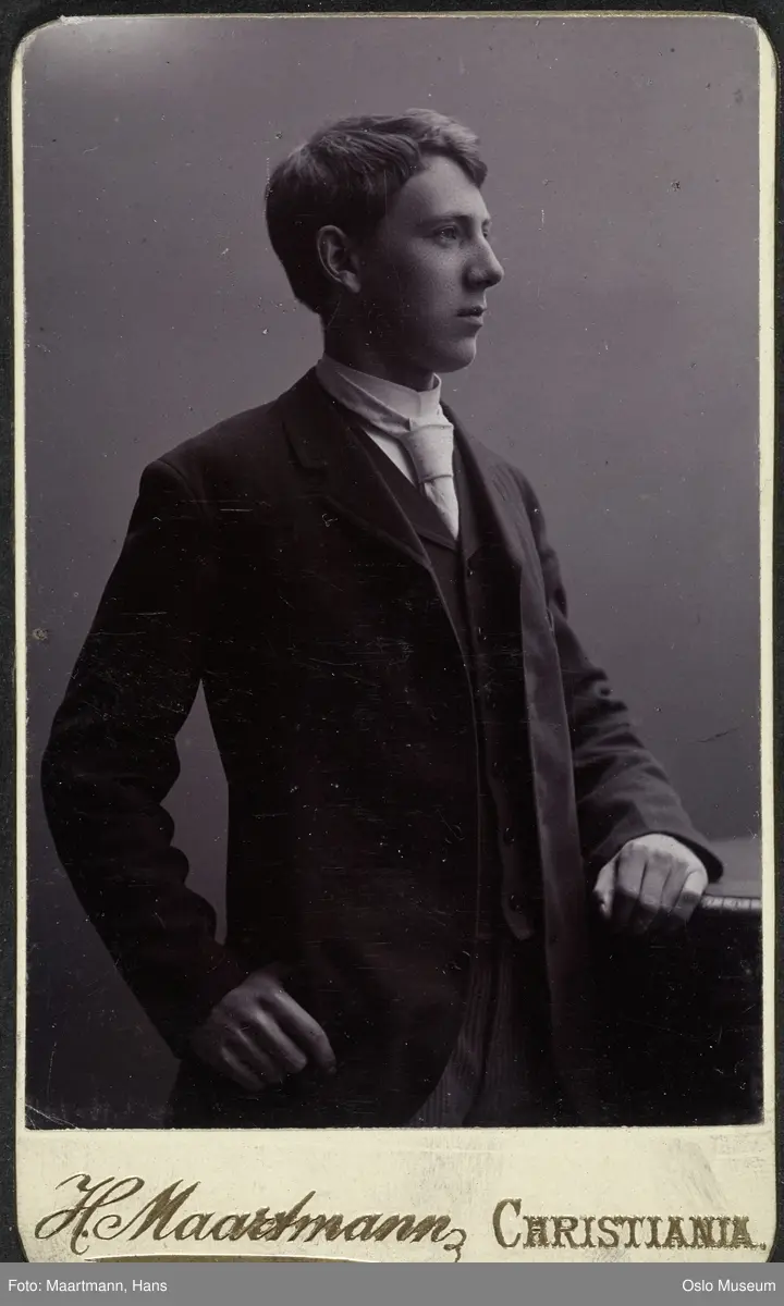 portrett, mann, stående halvfigur, halvprofil