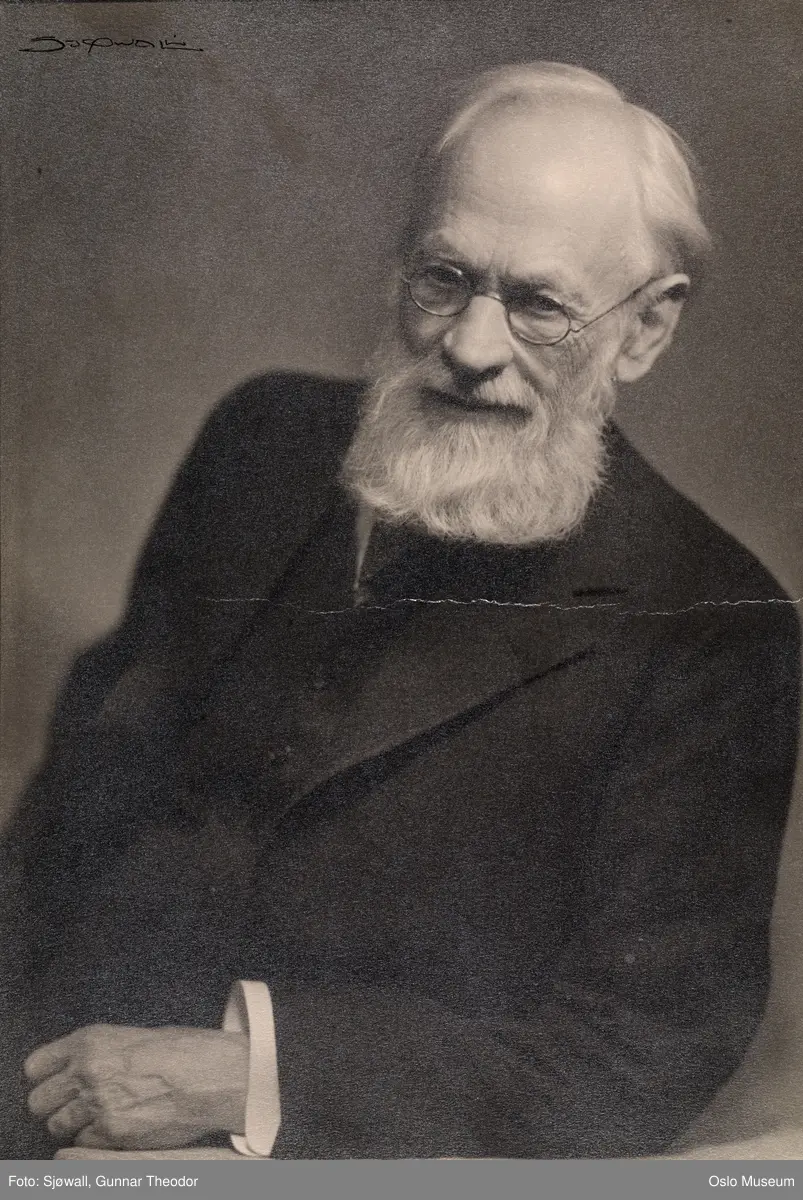 portrett, mann, kunstmaler, halvfigur