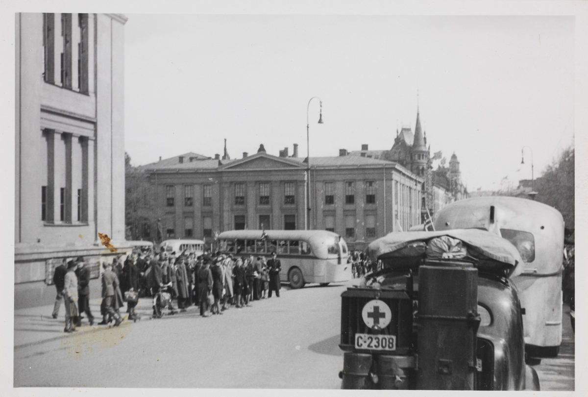 Folk samlet utenfor Universitetet i Oslo, Karl Johans gate. Bussene i bildet er trolig kommet fra Grini med frigjorte fanger.