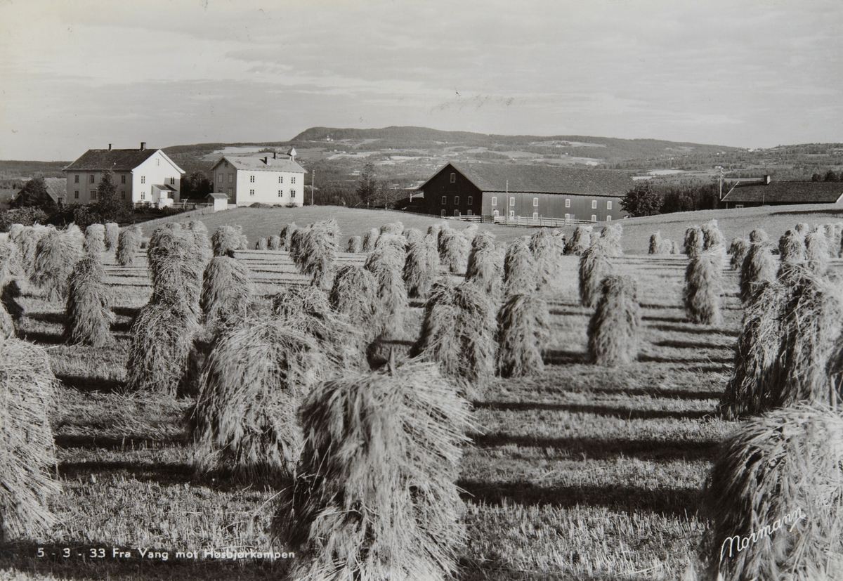 Postkort, Vang, gården Imerslund østre, kornsnes i forgrunnen, innhøsting,