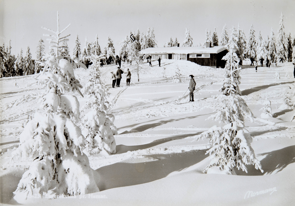 Postkort, Vang, Vangsåsen, Hedmarksvidda, vinterlandskap, skigåere, Lageråkvisla,