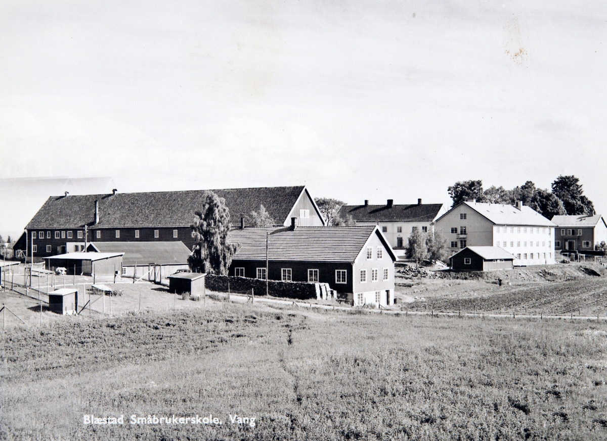 Postkort, Vang, Blæstad småbrukerskole, lamndbruksskole, driftsbygninger, internatbygninger,