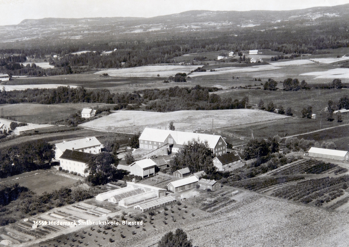 Postkort, Vang, flyfoto, Blæstad småbrukerskole, landbruksskole, driftsbygninger, gartneri, drivhus, internatbygninger,