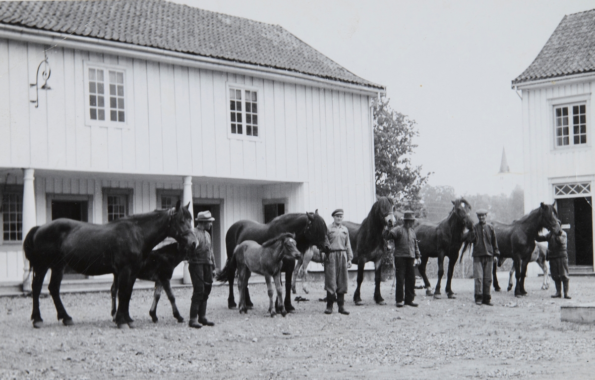 Postkort, Vang, Ridabu, Åker gård, 5 gårdsarbeidere med arbeidshester på inntunet,