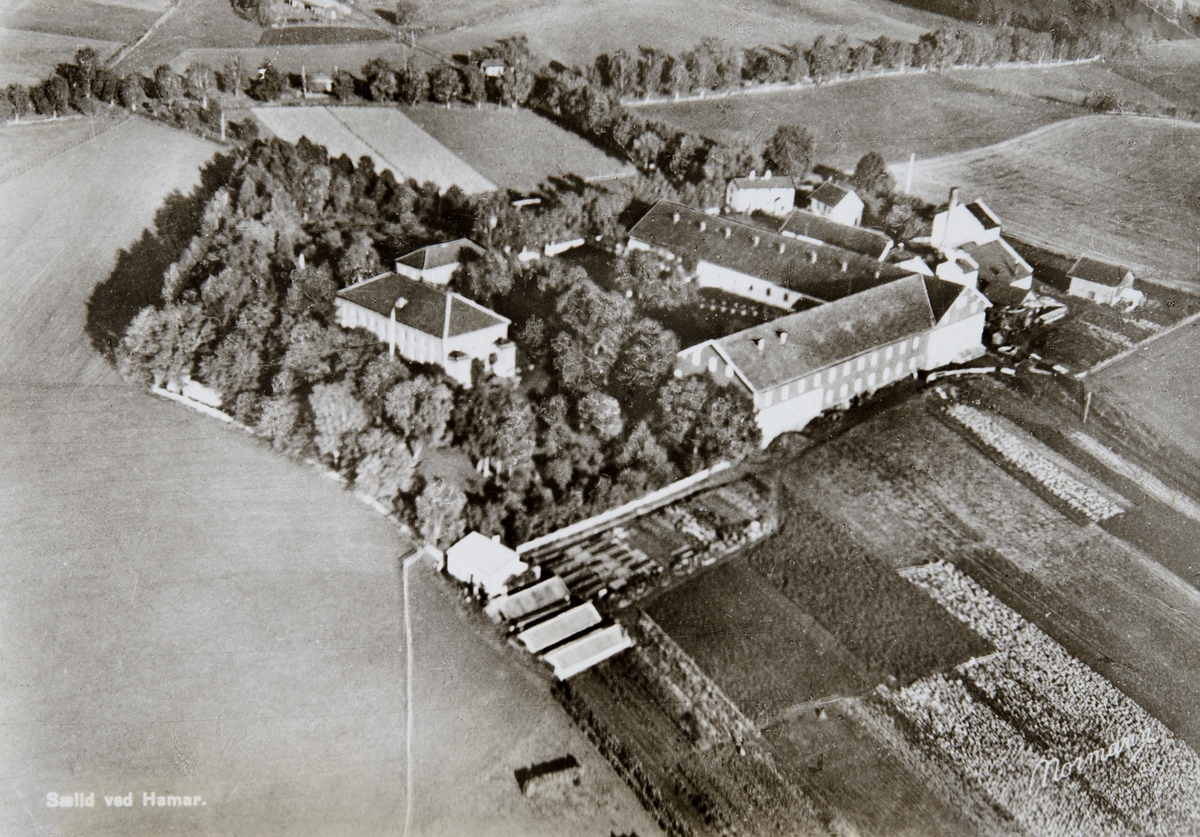 Postkort, Vang, flyfoto, Ridabu, Sælid gård, Sælid brenneri, Brænderi, spritfabrikk,