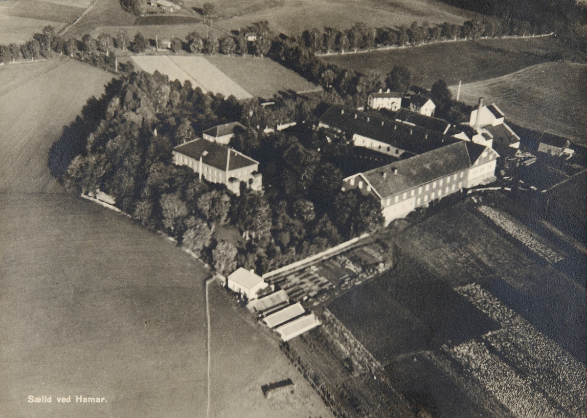 Postkort, Vang, flyfoto, Ridabu, Sælid gård, Sælid brenneri, Brænderi, spritfabrikk,