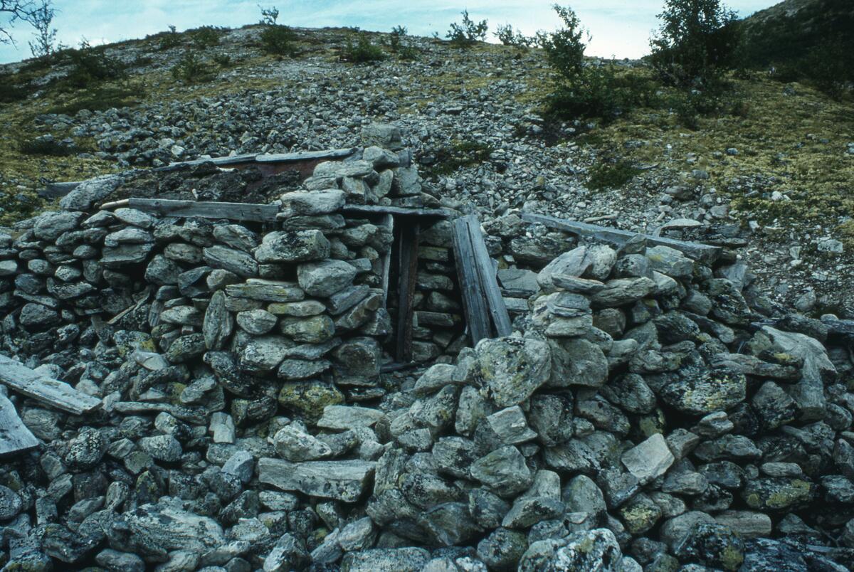 Mjovassdalen 1980