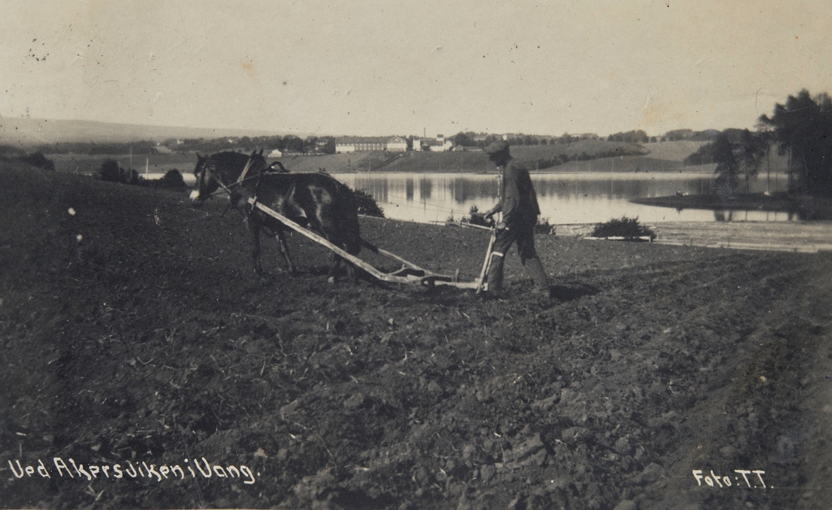 Postkort, Vang, Åkersvika i bakgrunnen Sælid gård, våronn, mann med hest og ard, pløying med Hedmarksard, arding, Disen vestre gård,