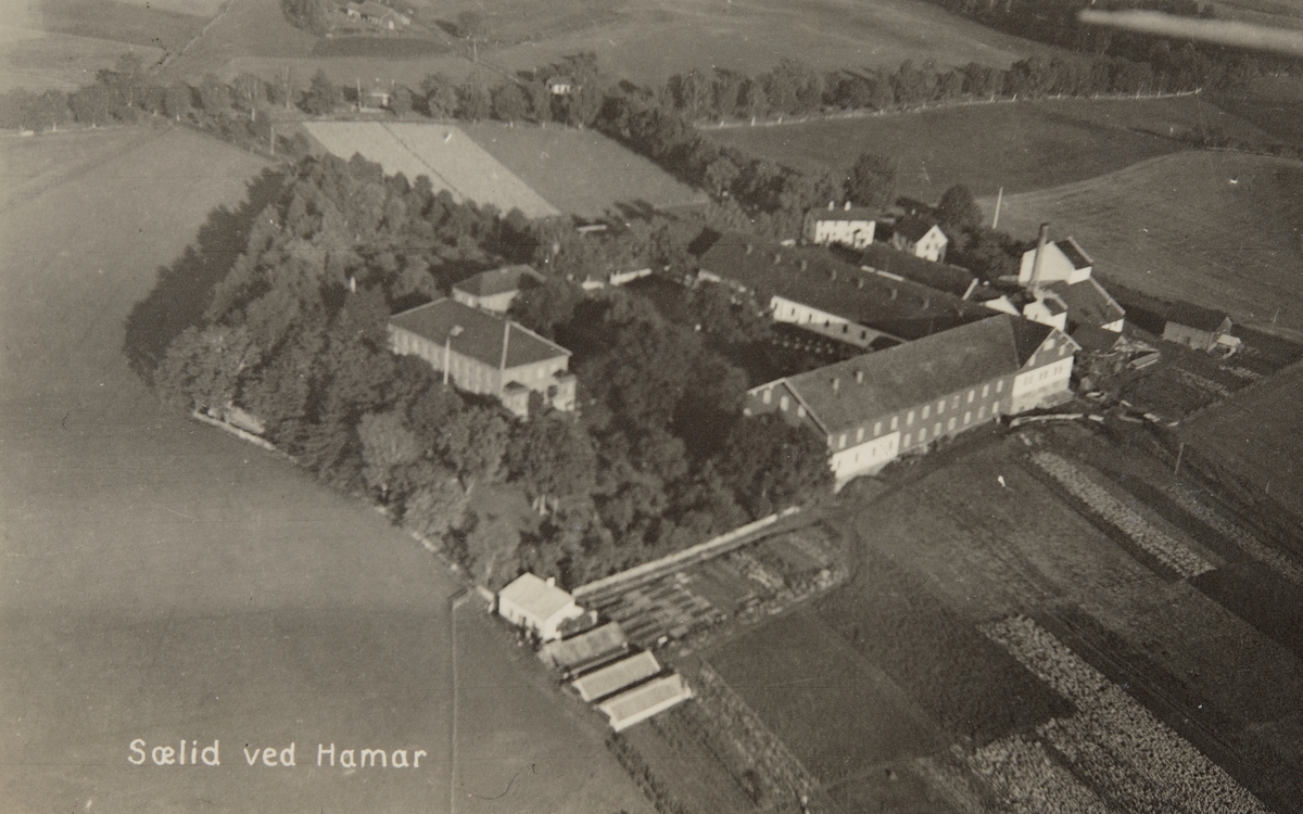 Postkort, Vang, flyfoto, Ridabu, Sælid gård, Sælid brenneri, Brænderi, spritfabrikk,
