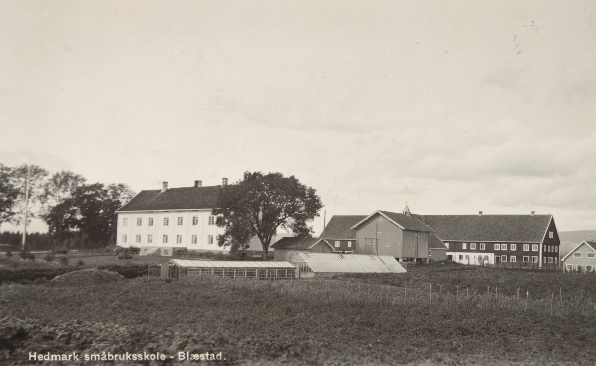 Postkort, Vang, gården Blæstad småbruksskole, Hedmark fylke kjøpte gården i 1918, hovedbygning, gartneri med drivhus, stabbur, låvebygning,
