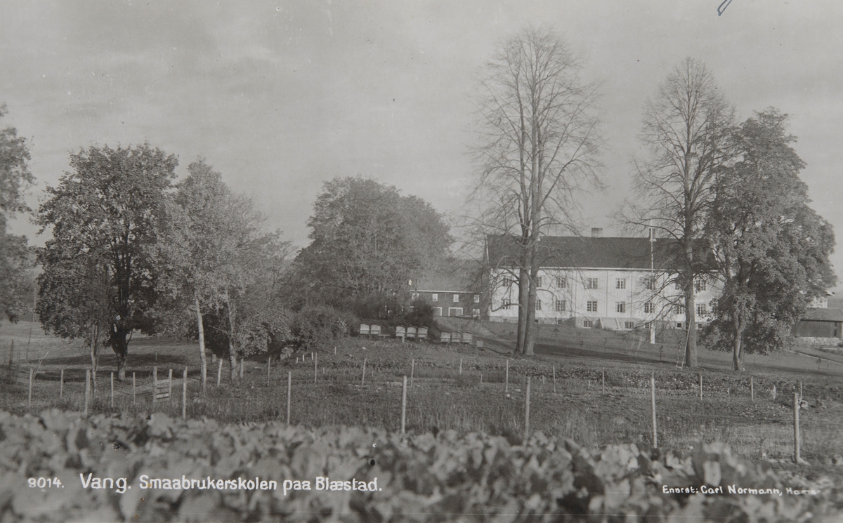 Postkort, Vang, gården Blæstad småbruksskole, Hedmark fylke kjøpte gården i 1918, hovedbygning, bikuber,