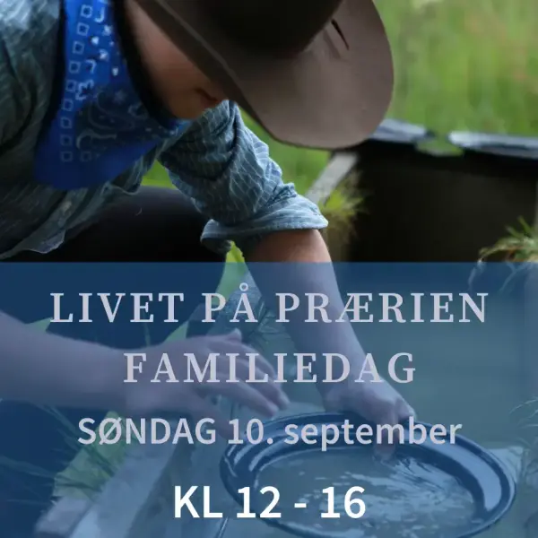 Plakat, ung cowboygutt vasker gull