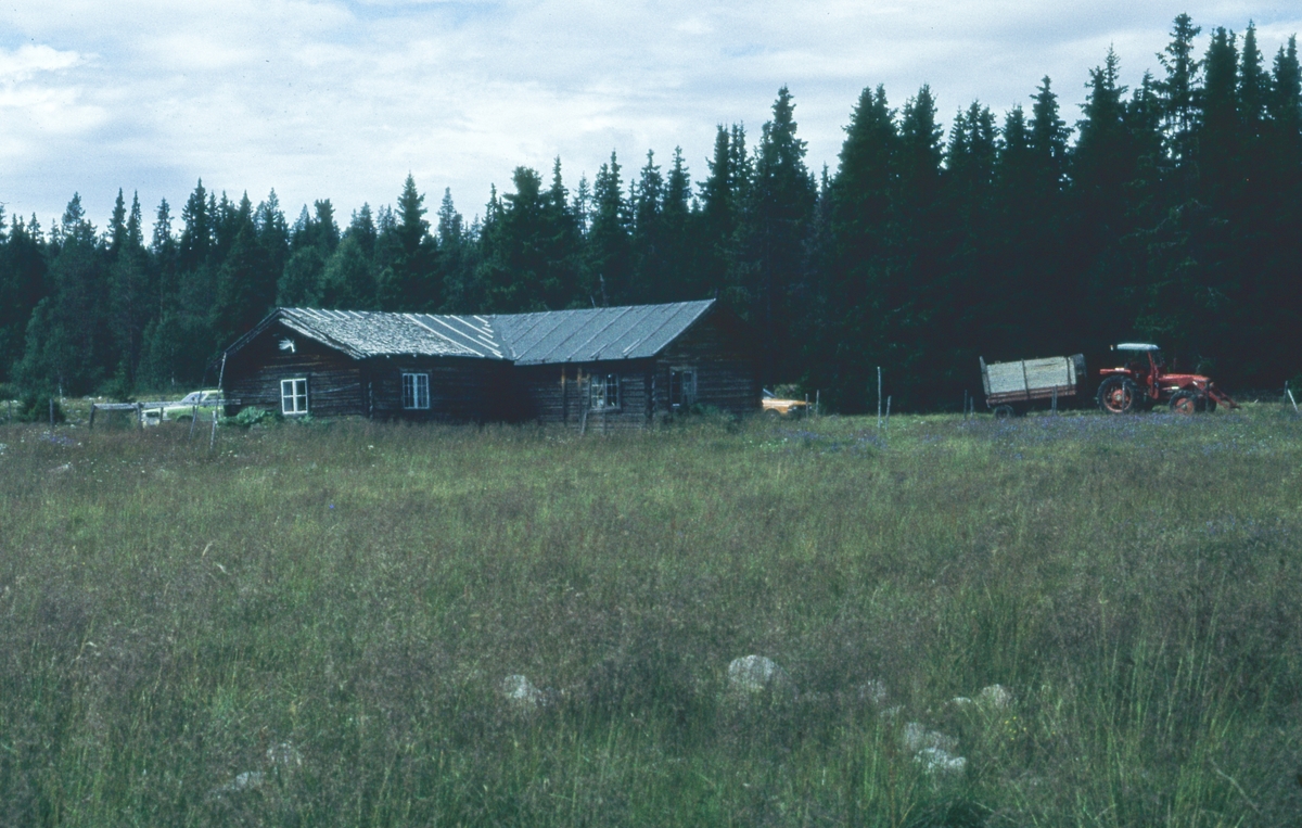 Rendalen.1980