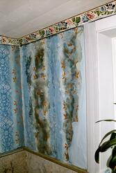 Väggmålning på Nils Nilsagården i Höje utförd av Anders Dahl