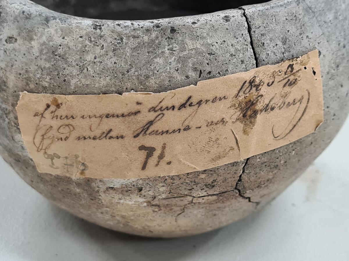 00 276. Enl. gammal lapp lösfynd 1865 vid järnvägsbygge vid Hästevadet V. Tunhems socken, Västergötland. Urnan hör således till det tidiga järnåldersgravfältet vid Hästevadet V. Tunhem.

Se vidare Svenssons rapport till R. Å. av den 17 oktober 1950. Se synnerhet sid. 8. (Enligt tryckta 
 katalogen nr 277). Köpt enligt gammal lapp: av herr Ing. Lindgren den 15. 10. 1865.
 

Lerurna, rundad. Kanten inåtböjd, oglasserad. Hål. Brända ben och kolblandad jord i urnan. 
 
Höjd. 6,2 cm.
 

Från Vänersborgs Läroverks samling. Till Vänersborgs museum 1886.