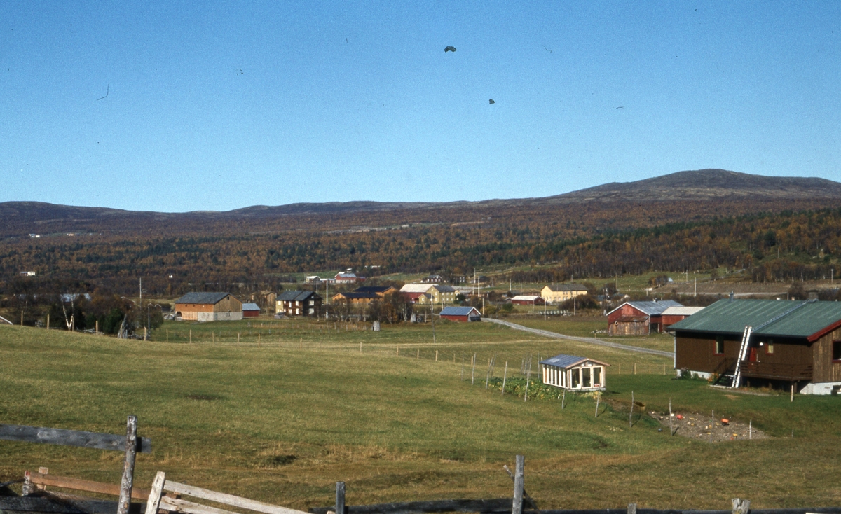 Narjordet 1980