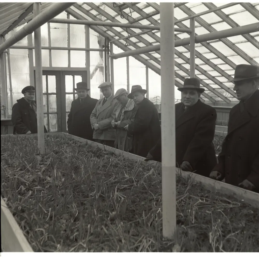 Drivhus i Barentsburg