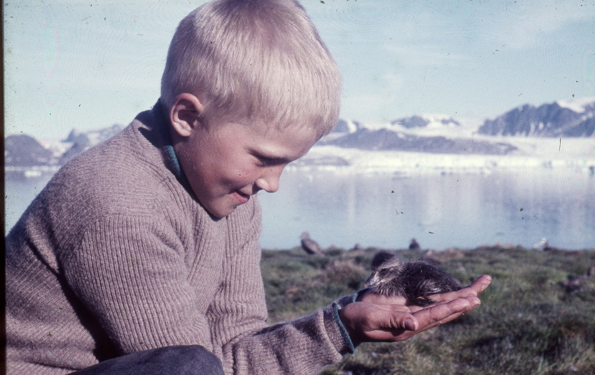 Bilder fra Ny-Ålesund slutten av 50- begynnelsen av 60-tallet.