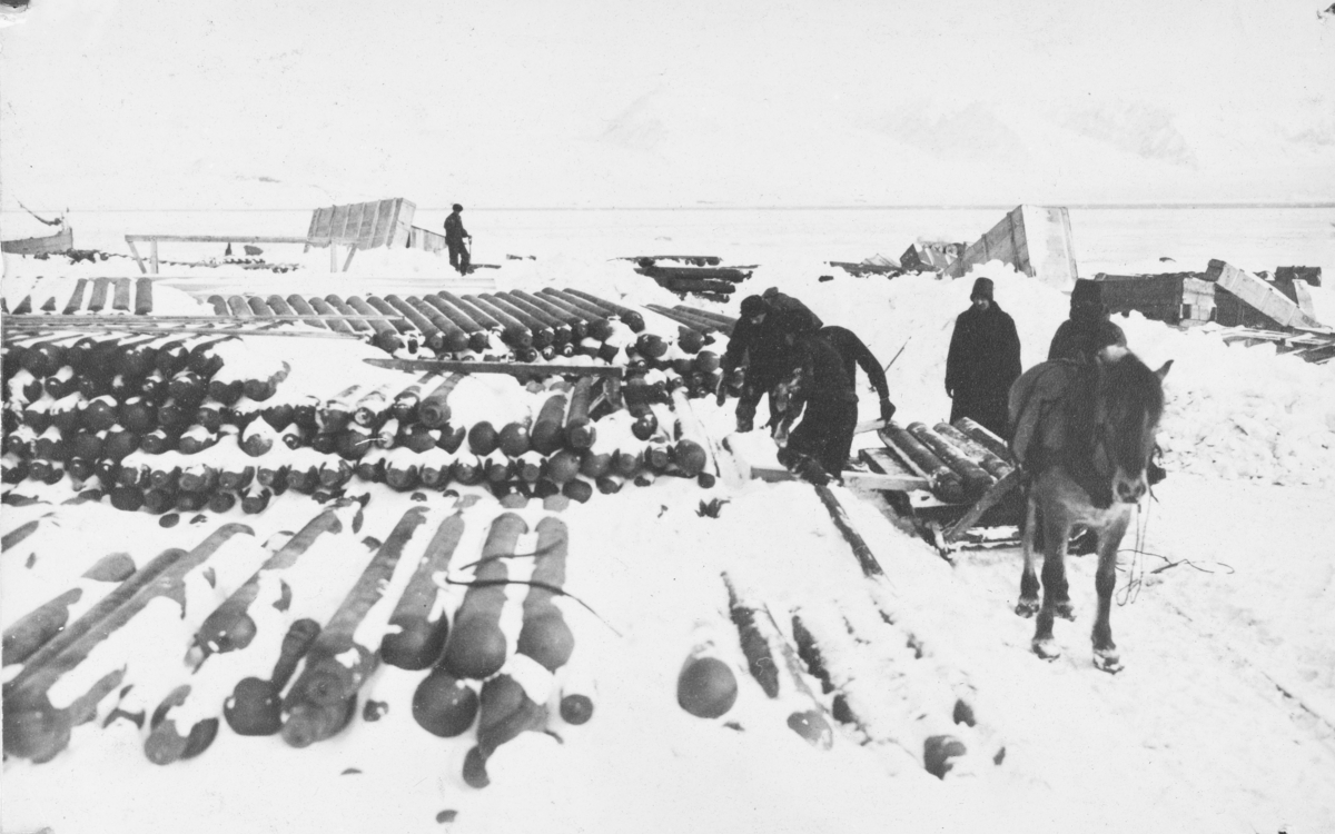 Bilde hentet fra den gamle utstillingen i Ny-Ålesund By- og Gruvemuseum, tatt ned 2015. Framkjøring av gassflasker med hest