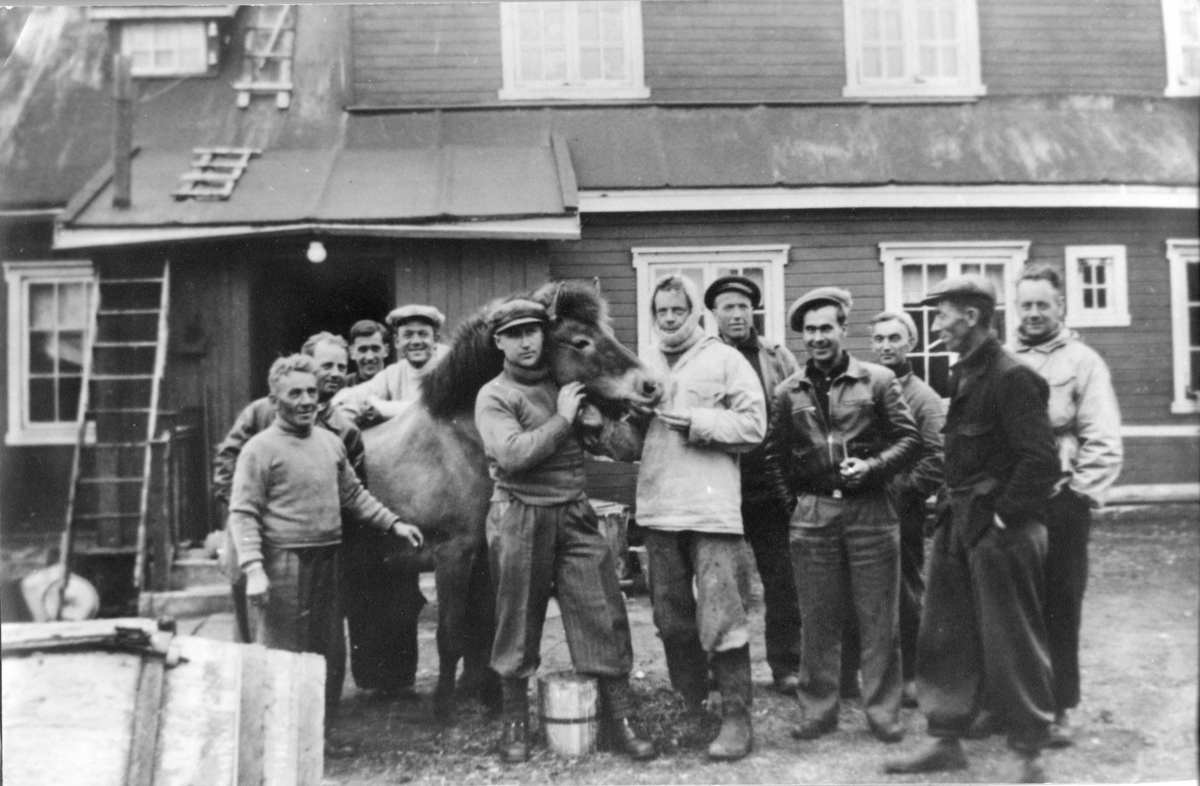 Tunheim sommeren 1940 under mannskapsskiftet på Jan Mayen og Bjørnøya. Den kjøttetende hesten Bjørnøy-Blakka er i sentrum for oppmerksomheten. Det avtroppende mannskapet fra Bjørnøya og det nye til Jan Mayen ble fraktet til Jan Mayen. Herr Kulseth hadde vært hjemme på ferie og ble på Bjørnøya som stasjonssjef også neste sesong. Bilde fra den gamle utstillingen på Bjørnøya Museum.