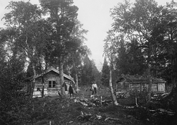 Skogstue (koie) med stall i Dypen-traktene i Saltdal statssk