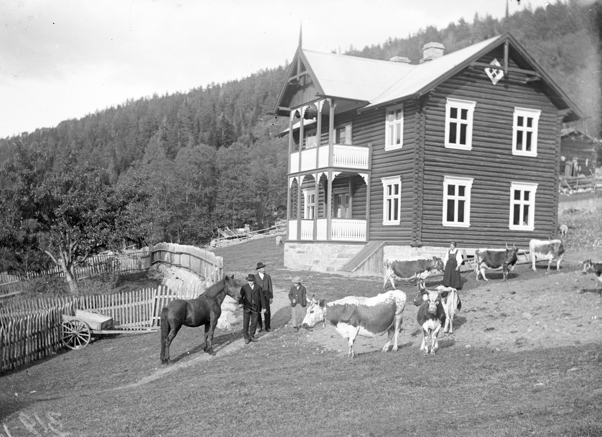 Gårdsmotiv med folk, hest og kuer.

Fotosamling etter Øystein O. Jonsjords (1895-1968), Tinn.