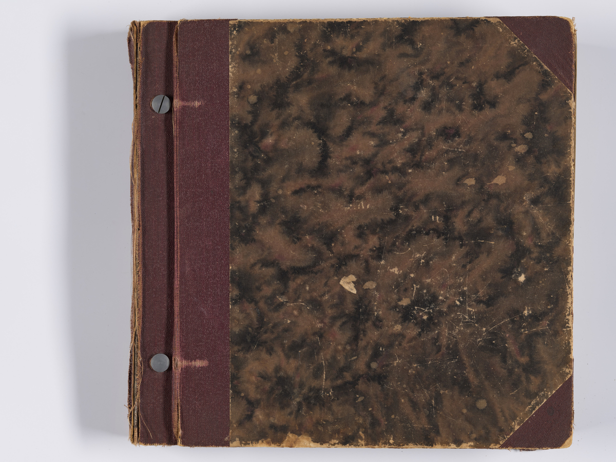 Diverse familiebilder og selvportretter til Synnøve Brændshøi tatt mellom 1938 og 1944. Albumet inneholder feriebilder fra Vrengen (Vestlandet), Vrengen bru, Tjøme, Ormelet pensjonat, Hurdalsjøen, Hamar, Lillehammer, Oslo, Trandum, Vigelandsparken.

Albumet inneholder bilder av Kronprins Olav på Trandum tatt i 1938. 

Julebilder og nyttårsaften bilder fra 1942/43.  