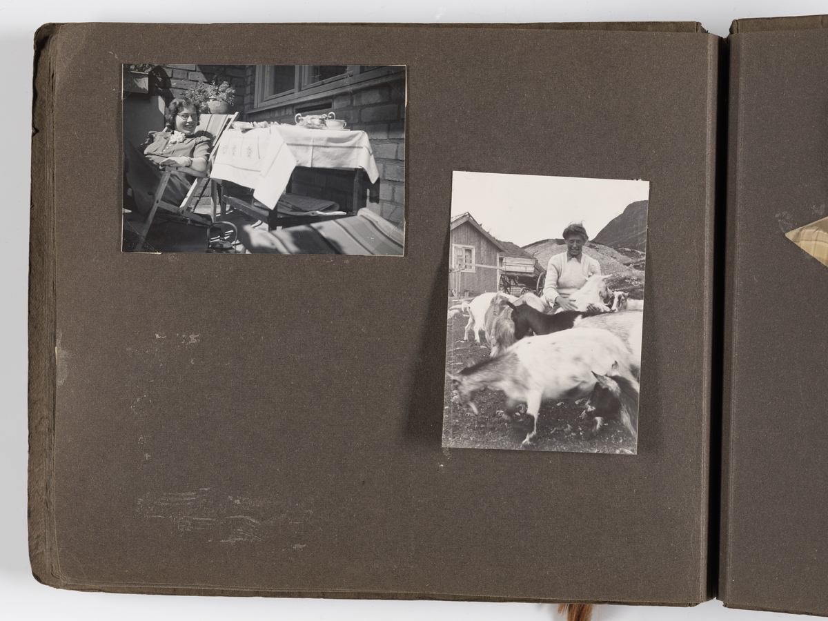 Diverse familiebilder til Synnøve Brændshøi tatt mellom 1936 og ca. 1940. 

Albumet inneholder bilder fra Nakkholmen (1936), Gardefjell (1938), og bilder av Kronprins Olav på Trandum tatt i 1938.

