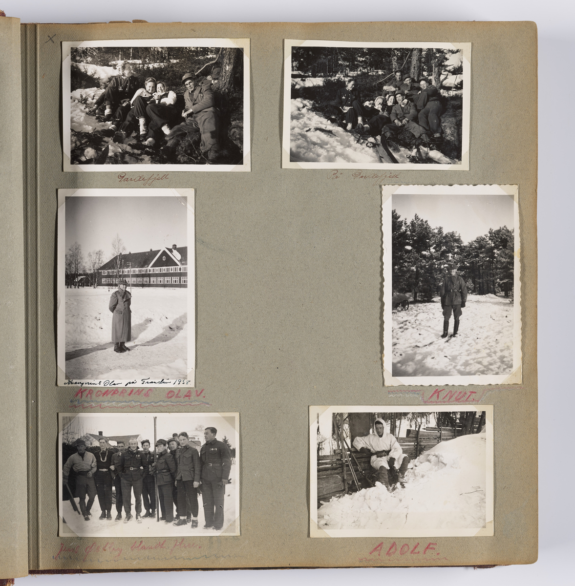 Diverse familiebilder og selvportretter til Synnøve Brændshøi tatt mellom 1938 og 1944. Albumet inneholder feriebilder fra Vrengen (Vestlandet), Vrengen bru, Tjøme, Ormelet pensjonat, Hurdalsjøen, Hamar, Lillehammer, Oslo, Trandum, Vigelandsparken.

Albumet inneholder bilder av Kronprins Olav på Trandum tatt i 1938. 

Julebilder og nyttårsaften bilder fra 1942/43.  