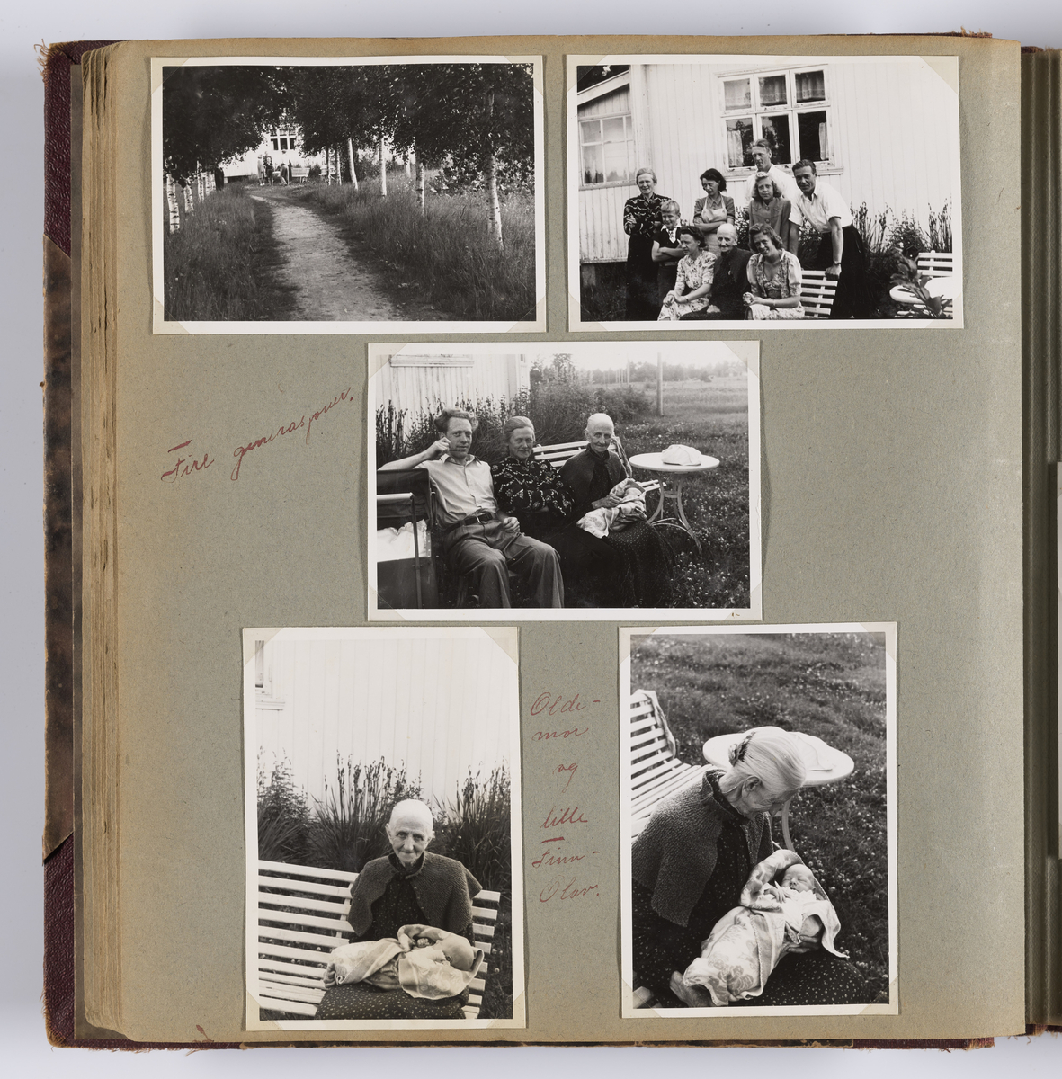 Diverse familiebilder og selvportretter til Synnøve Brændshøi tatt mellom 1938 og 1944. Albumet inneholder feriebilder fra Vrengen (Vestlandet), Vrengen bru, Tjøme, Ormelet pensjonat, Hurdalsjøen, Hamar, Lillehammer, Oslo, Trandum, Vigelandsparken.

Albumet inneholder bilder av Kronprins Olav på Trandum tatt i 1938. 

Julebilder og nyttårsaften bilder fra 1942/43.  