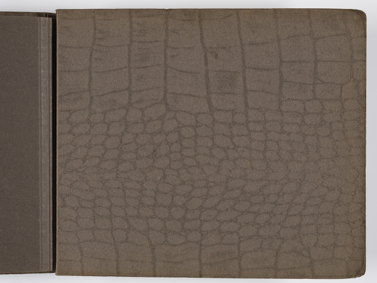 Diverse familiebilder til Synnøve Brændshøi tatt mellom 1936 og ca. 1940. 

Albumet inneholder bilder fra Nakkholmen (1936), Gardefjell (1938), og bilder av Kronprins Olav på Trandum tatt i 1938.


