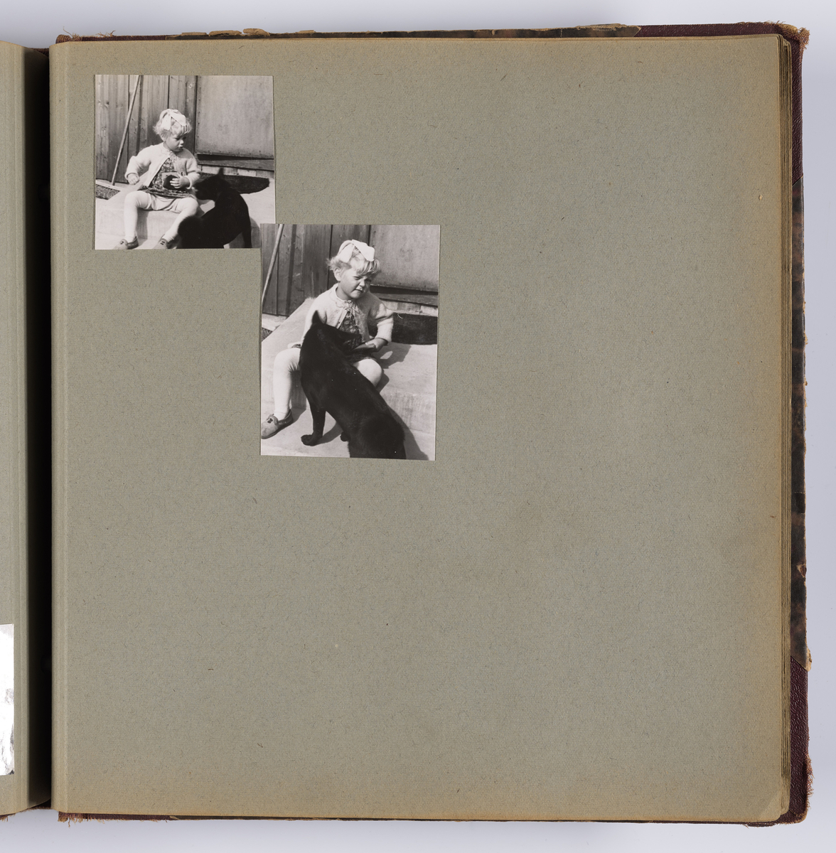 Diverse familiebilder og selvportretter til Synnøve Brændshøi tatt mellom 1938 og 1944. Albumet inneholder feriebilder fra Vrengen (Vestlandet), Vrengen bru, Tjøme, Ormelet pensjonat, Hurdalsjøen, Hamar, Lillehammer, Oslo, Trandum, Vigelandsparken.

Albumet inneholder bilder av Kronprins Olav på Trandum tatt i 1938. 

Julebilder og nyttårsaften bilder fra 1942/43.  