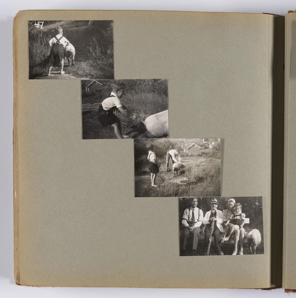 Diverse familiebilder og selvportretter til Synnøve Brændshøi tatt mellom 1938 og 1944. Albumet inneholder feriebilder fra Vrengen (Vestlandet), Vrengen bru, Tjøme, Ormelet pensjonat, Hurdalsjøen, Hamar, Lillehammer, Oslo, Trandum, Vigelandsparken.

Albumet inneholder bilder av Kronprins Olav på Trandum tatt i 1938. 

Julebilder og nyttårsaften bilder fra 1942/43.  