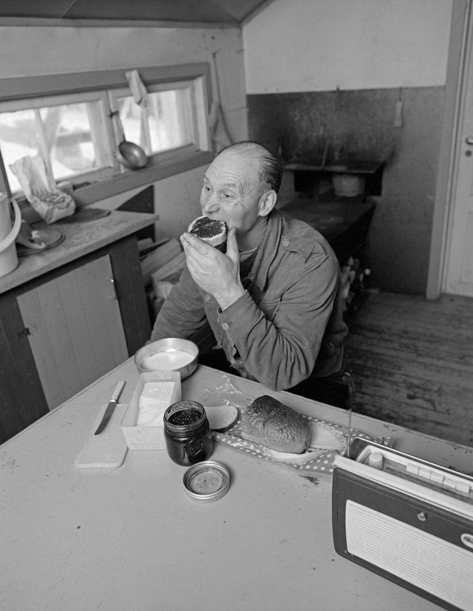 Skogsarbeider Johan Rasch spiser frokost i Smaltjernkoia i Svartholtet, Elverum, Hedmark i januar 1975.