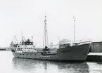 Lastfartyget m/s GUNHILD H. i Kalmar hamn 1962.