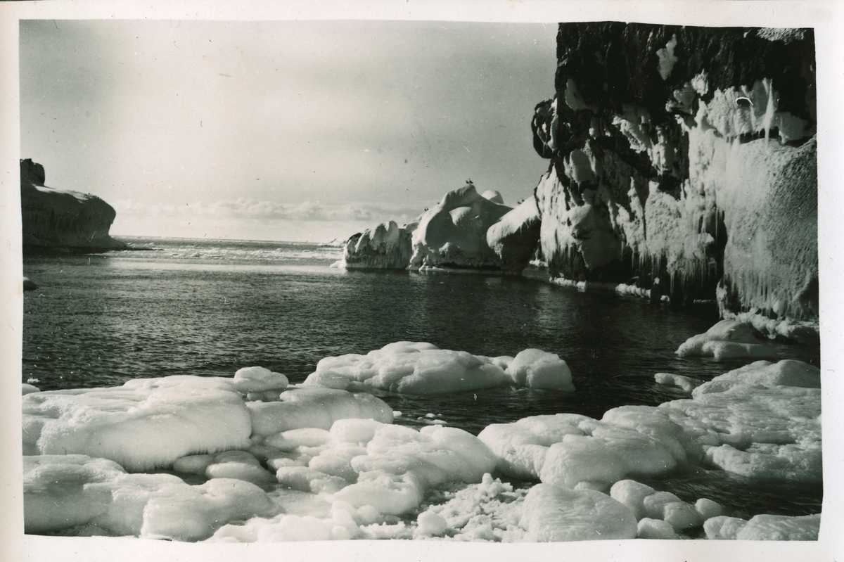 Teltvika i vår sola. Overvintring på Bjørnøya 1957-58.